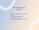 Lyderio vaidmuo organizacijoje 2 puslapis