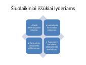 Lyderio vaidmuo organizacijoje 6 puslapis