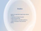 Lyderio vaidmuo organizacijoje 7 puslapis