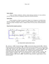Termodinamikos laboratoriniai darbai 10 puslapis