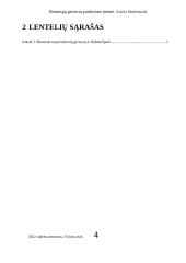 Išmaniųjų gertuvių pardavimo įmonė  3 puslapis