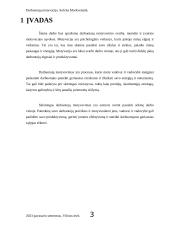 Darbuotojų motyvacija. Vadybos referatas 2 puslapis