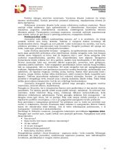 Raidos psichologijos konspektas 13 puslapis