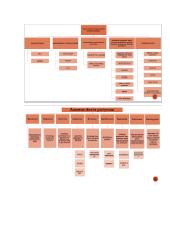 Kriminalistinis vaizdo fiksavimas 12 puslapis