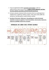 Kriminalistinis vaizdo fiksavimas 17 puslapis