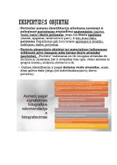 Kriminalistinis vaizdo fiksavimas 19 puslapis