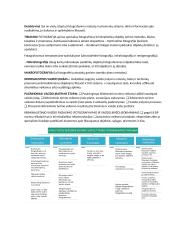 Kriminalistinis vaizdo fiksavimas 5 puslapis