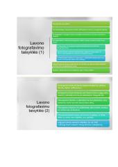 Kriminalistinis vaizdo fiksavimas 6 puslapis