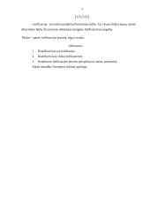 Maisto liofilizacija 2 puslapis