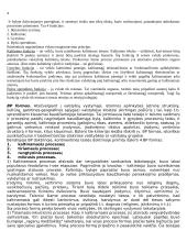 Baudžiamojo proceso teisė. Konspektas 4 puslapis