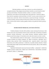 Sodininkų bendruomenės problemų sprendimo procesas 3 puslapis