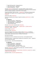 Algologijos sistematika (konspektas) 2 puslapis