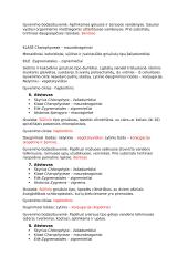 Algologijos sistematika (konspektas) 3 puslapis