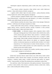 Projektų valdymas. Filtrų įkrovos pakeitimas vandens gerinimo įrenginiuose 8 puslapis