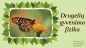 Drugelių gyvenimo fizika
