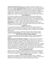 Skirtingos filosofinės srovės 2 puslapis