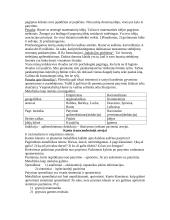 Skirtingos filosofinės srovės 8 puslapis