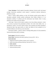 Ekonomikos problemos Lietuvoje 2019 - 2021 m. 2 puslapis