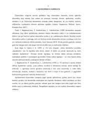 Ekonomikos problemos Lietuvoje 2019 - 2021 m. 3 puslapis