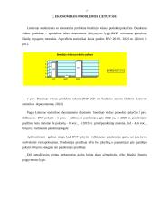Ekonomikos problemos Lietuvoje 2019 - 2021 m. 6 puslapis