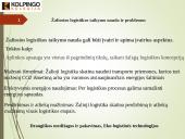 Skaidrės. Žaliosios logistikos koncepcijos įgyvendinimas 20 puslapis