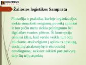 Skaidrės. Žaliosios logistikos koncepcijos įgyvendinimas 4 puslapis