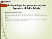 Skaidrės. Žaliosios logistikos koncepcijos įgyvendinimas 9 puslapis