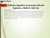 Skaidrės. Žaliosios logistikos koncepcijos įgyvendinimas 10 puslapis