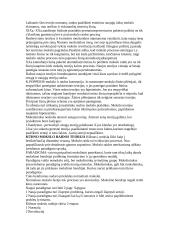 Plati filosofijos teorija 2 puslapis