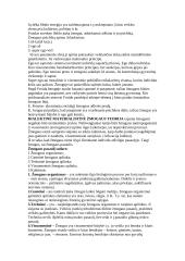 Plati filosofijos teorija 5 puslapis