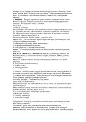 Plati filosofijos teorija 6 puslapis