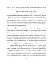 Ekstremalios situacijos ir įvykiai Prancūzijoje 11 puslapis