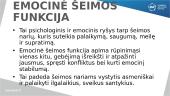 Emocinė šeimos funkcija (skaidrės)
