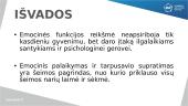 Emocinė šeimos funkcija (skaidrės) 12 puslapis