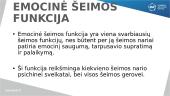 Emocinė šeimos funkcija (skaidrės) 2 puslapis