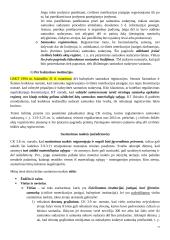 Šeimos ir paveldėjimo teisė (konspektas) 15 puslapis