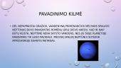 Neptūnas. Planetos pristatymas 2 puslapis