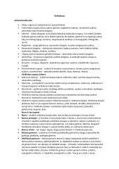 Konspektas - virškinimas