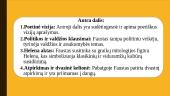 J.V. Gėtė „Faustas“ 15 puslapis
