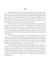 Nuosavo kapitalo pokyčių įmonėse analizė 10 puslapis