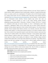 Nuosavo kapitalo pokyčių įmonėse analizė 2 puslapis