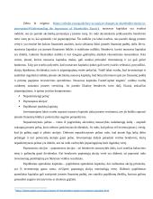 Nuosavo kapitalo pokyčių įmonėse analizė 8 puslapis