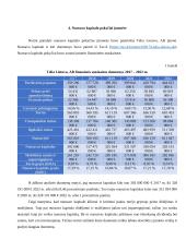 Nuosavo kapitalo pokyčių įmonėse analizė 9 puslapis