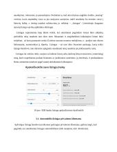 Būsto paskolos ir bankų palyginamoji analizė 13 puslapis