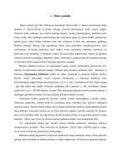 Būsto paskolos ir bankų palyginamoji analizė 3 puslapis