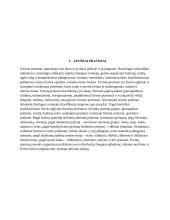 Fiziniai pratimai namų sąlgyomis 3 puslapis