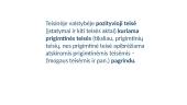 Teisės samprata (skaidrės) 20 puslapis