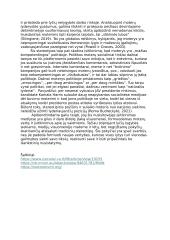 ,,Moterys žemiau už vyrus“ stereotipas socialinėse medijose 2 puslapis