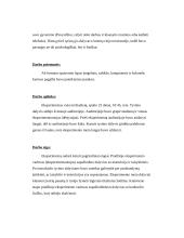 Dėmesio valdymo efektyvumas atliekant skirtingas užduotis vienu metu 2 puslapis