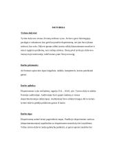 Triukšmo poveikis darbo produktyvumui  2 puslapis